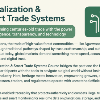 Digitalization & Smart Trade Systems